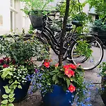 Antique Plac Szczepanski 4*