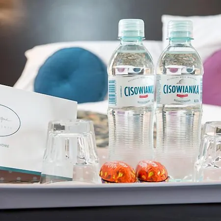 公寓式酒店 斯派凯公园古典酒店 克拉科夫
