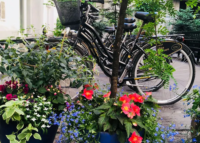 Antique Plac Szczepanski 4*